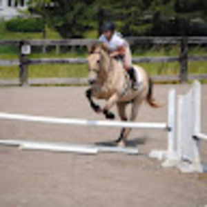 Meet your Posher, Tatum